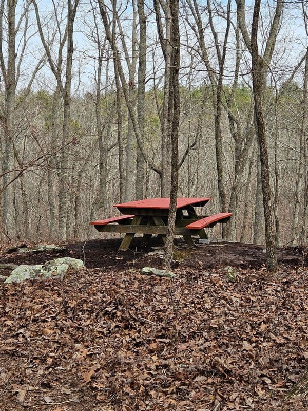 Trash Cleanup and Picnic Table Relocation - photo 3