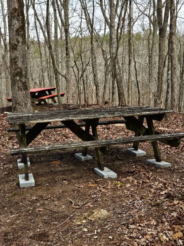 Trash Cleanup and Picnic Table Relocation - photo 2