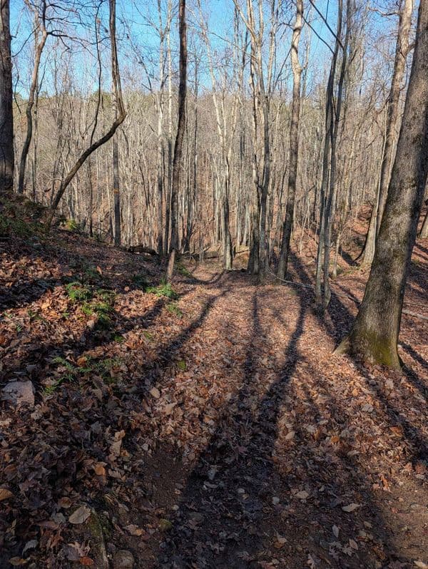 Picnic Table Restoration and Trail Blowing - photo 8