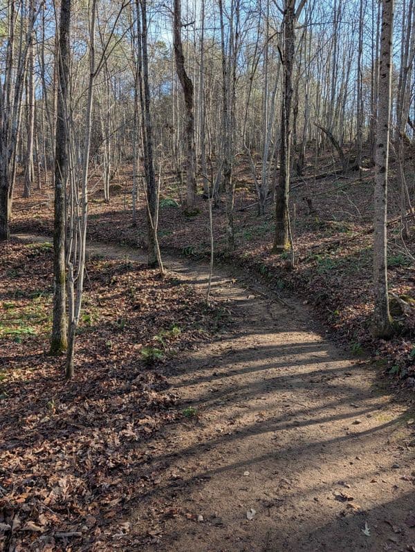 Picnic Table Restoration and Trail Blowing - photo 9
