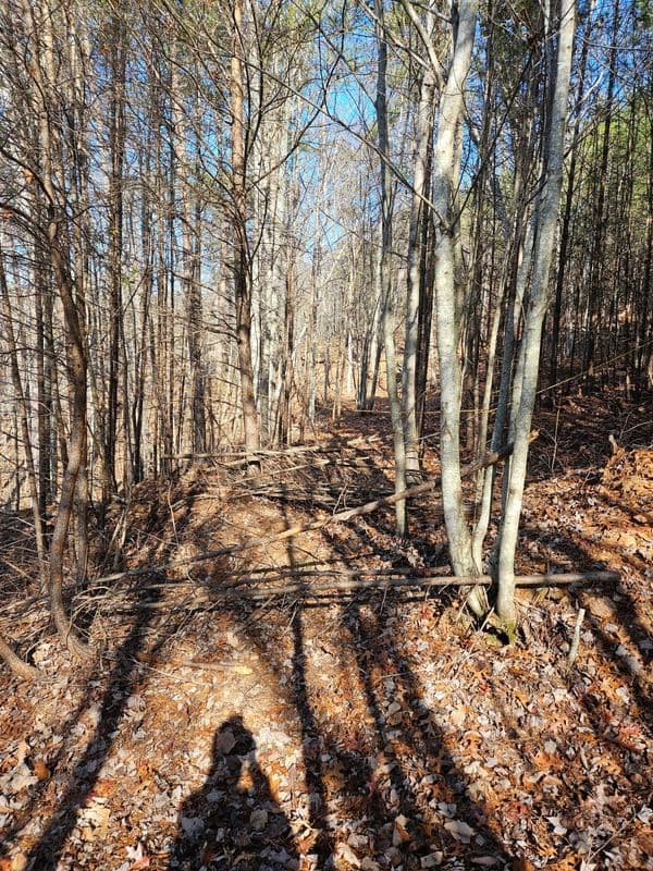 Picnic Table Restoration and Trail Blowing - photo 5